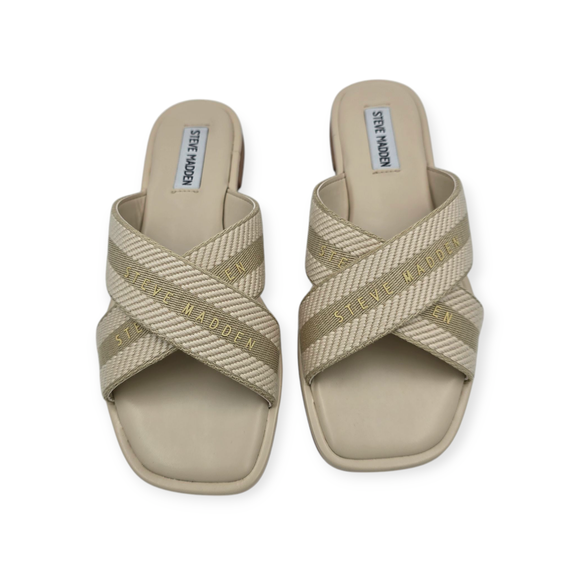 נעלי STEVE MADDEN ARROWS נעלי STEVE MADDEN ARROWS