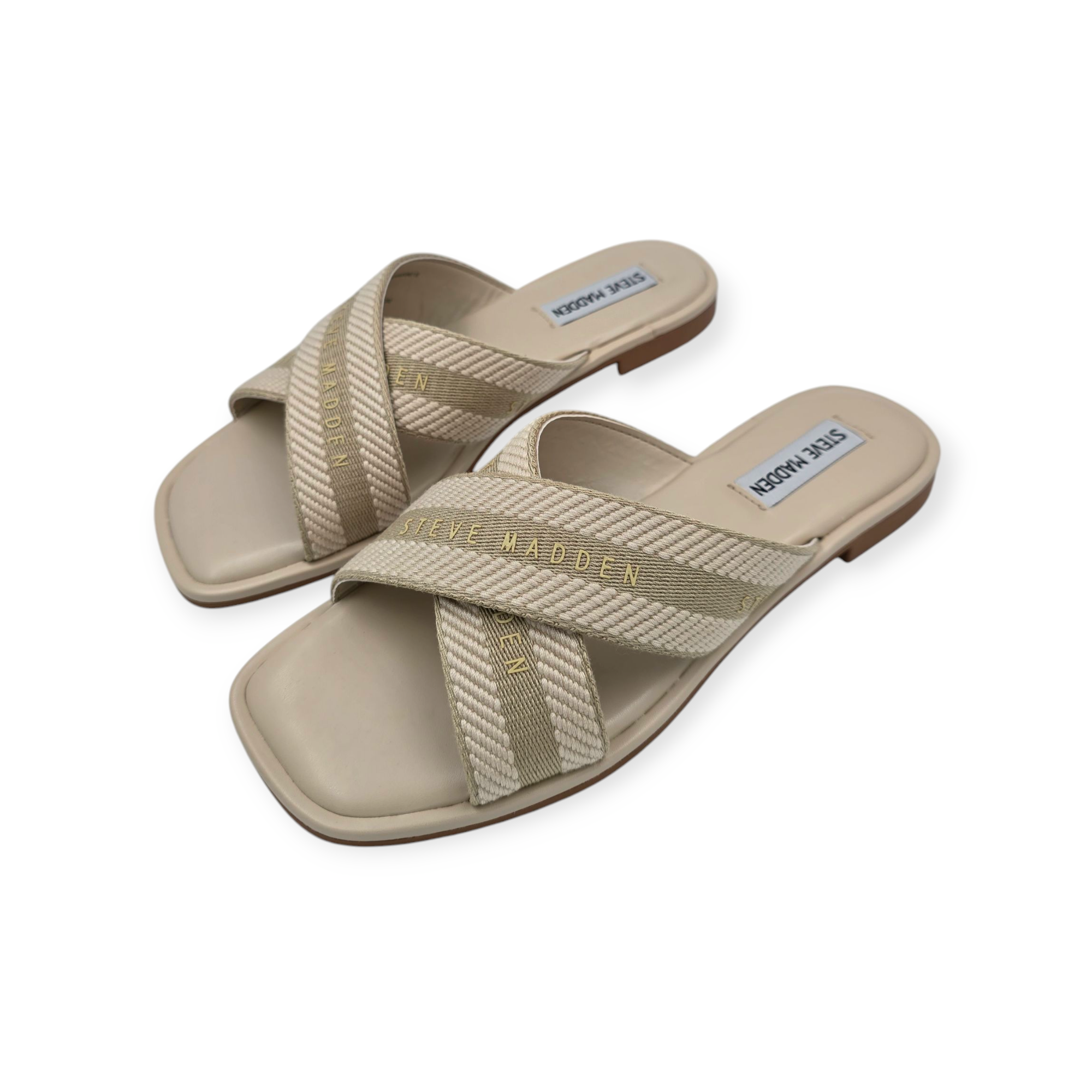 נעלי STEVE MADDEN ARROWS נעלי STEVE MADDEN ARROWS