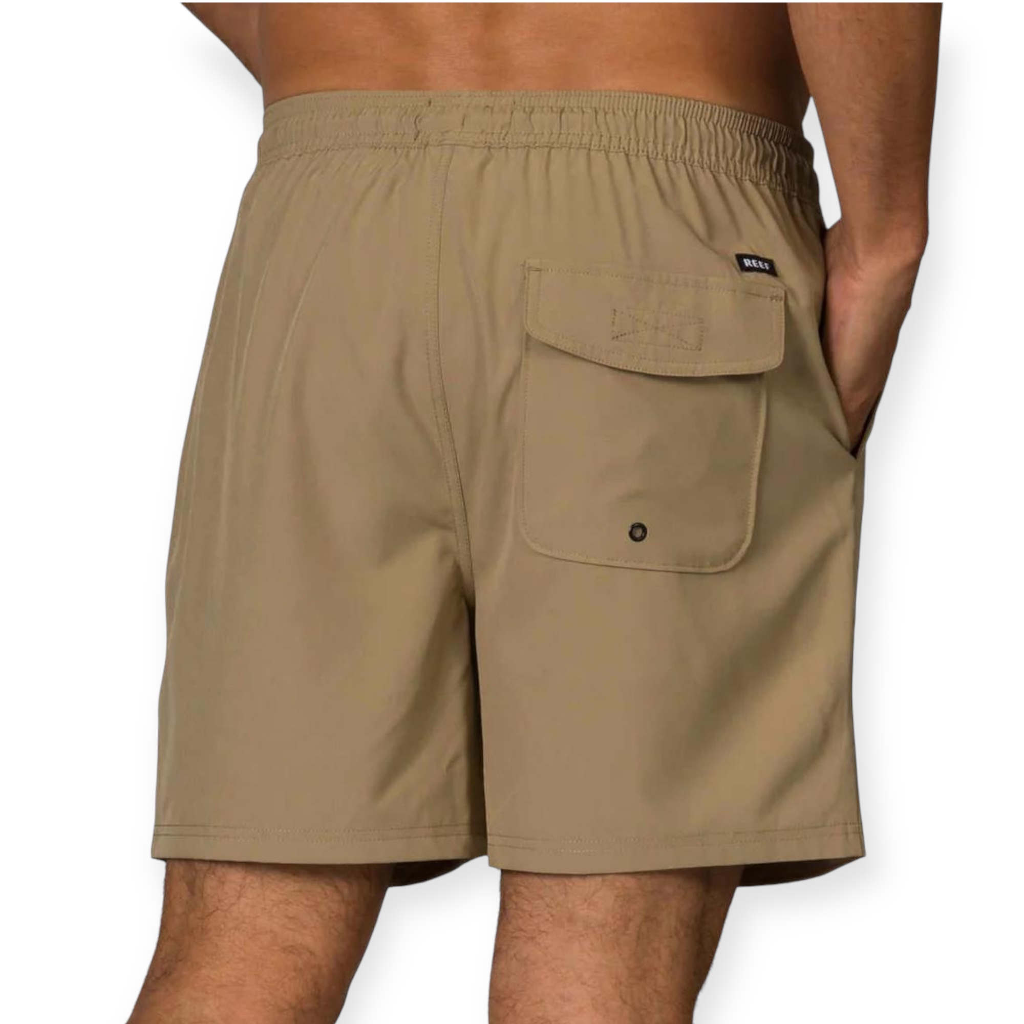 מכנס REEF WAIST SWIM SHORT מכנס REEF WAIST SWIM SHORT