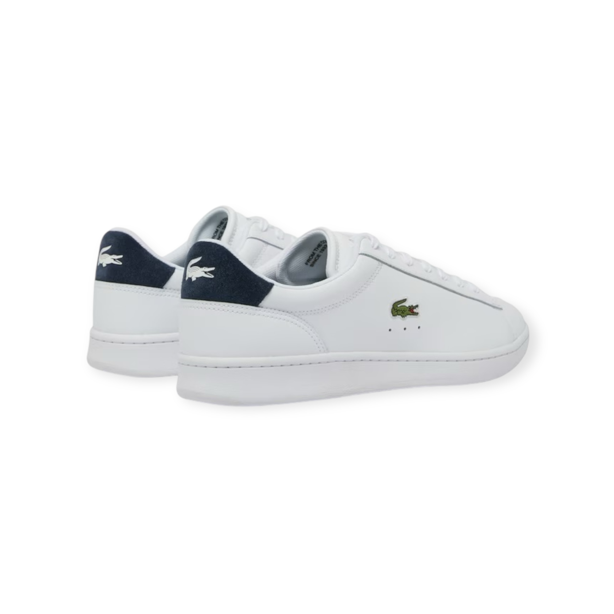 נעלי LACOSTE CARNABY SET