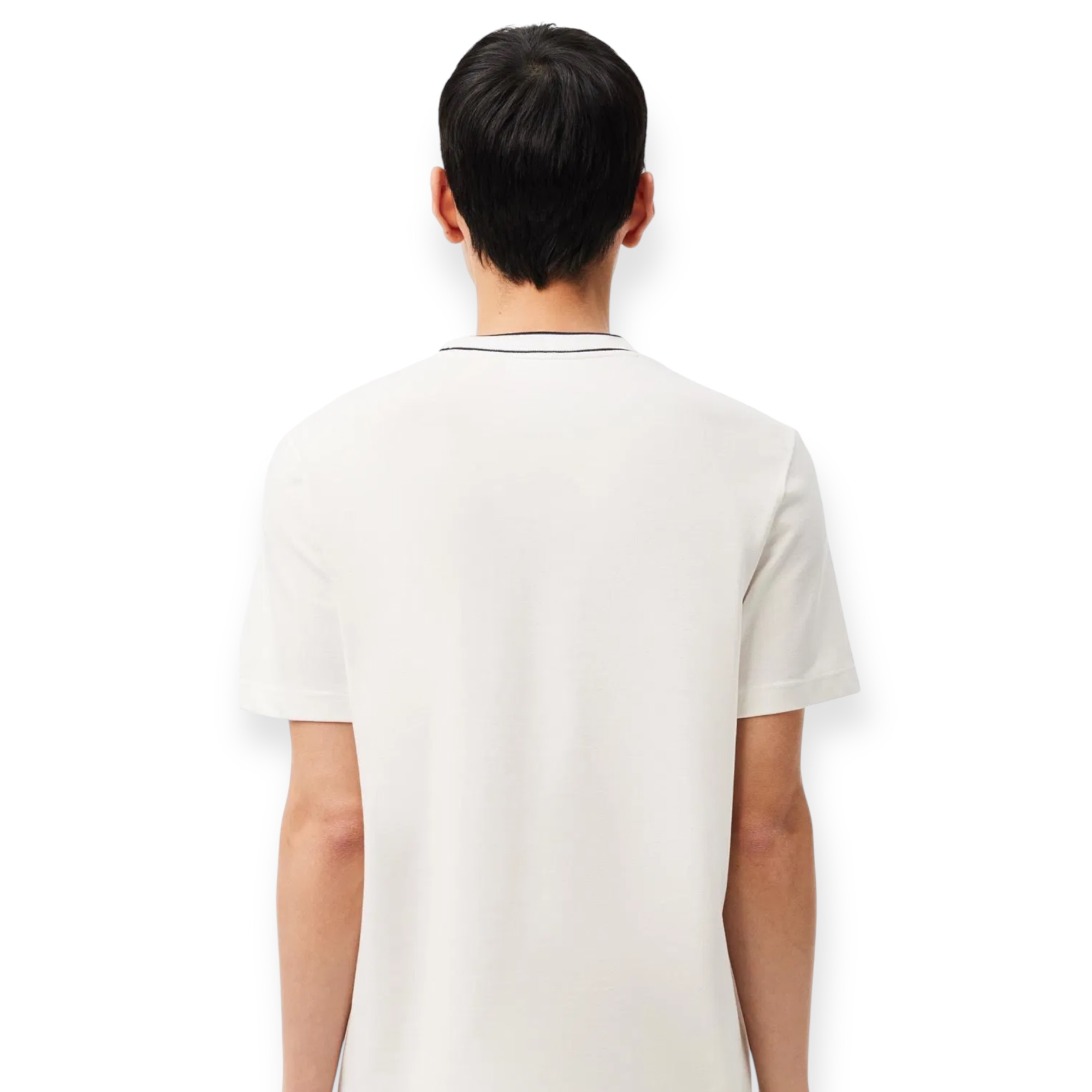 חולצה LACOSTE TEE חולצה LACOSTE TEE