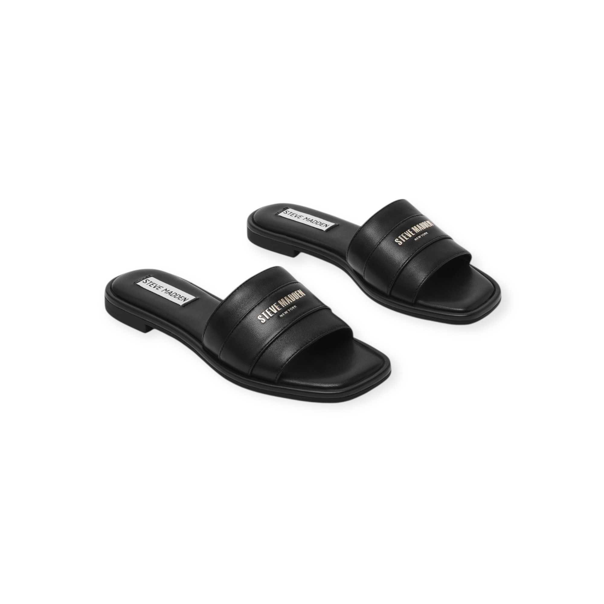 נעלי נשים STEVE MADDEN ASHTEN