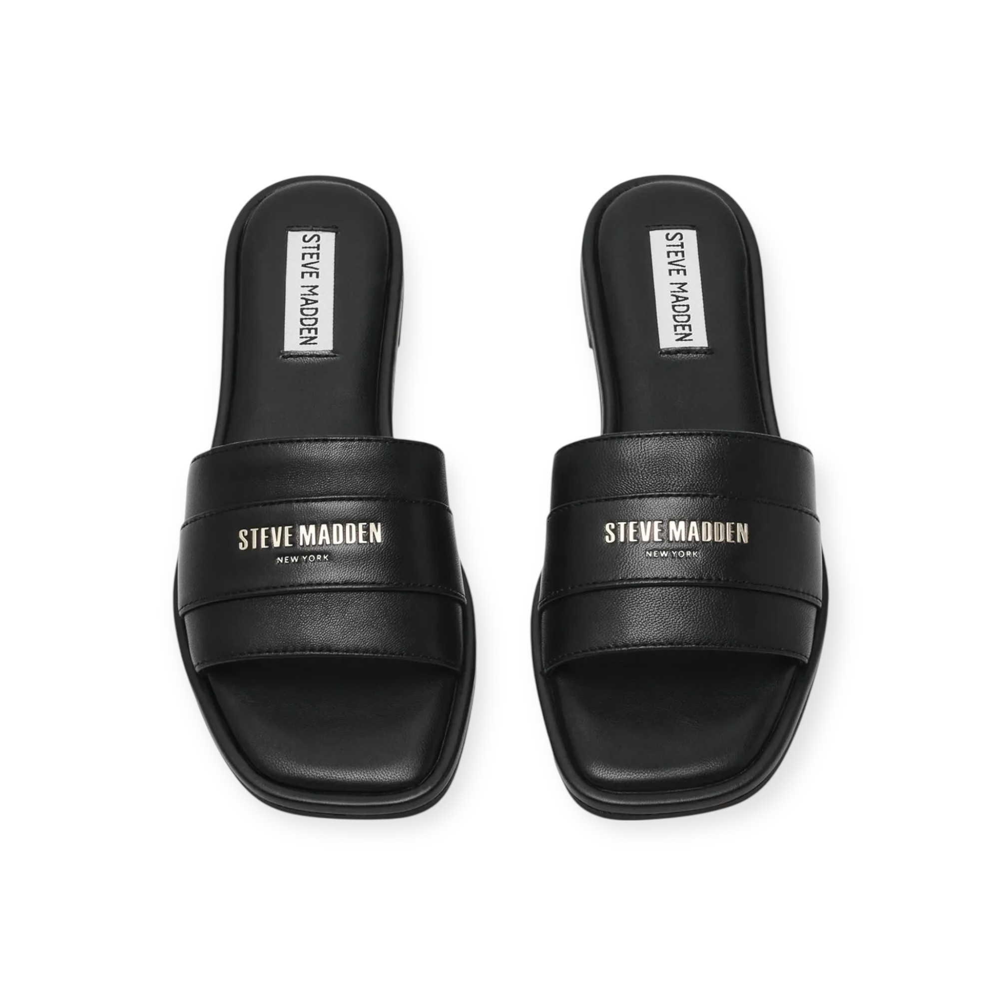 נעלי נשים STEVE MADDEN ASHTEN נעלי נשים STEVE MADDEN ASHTEN