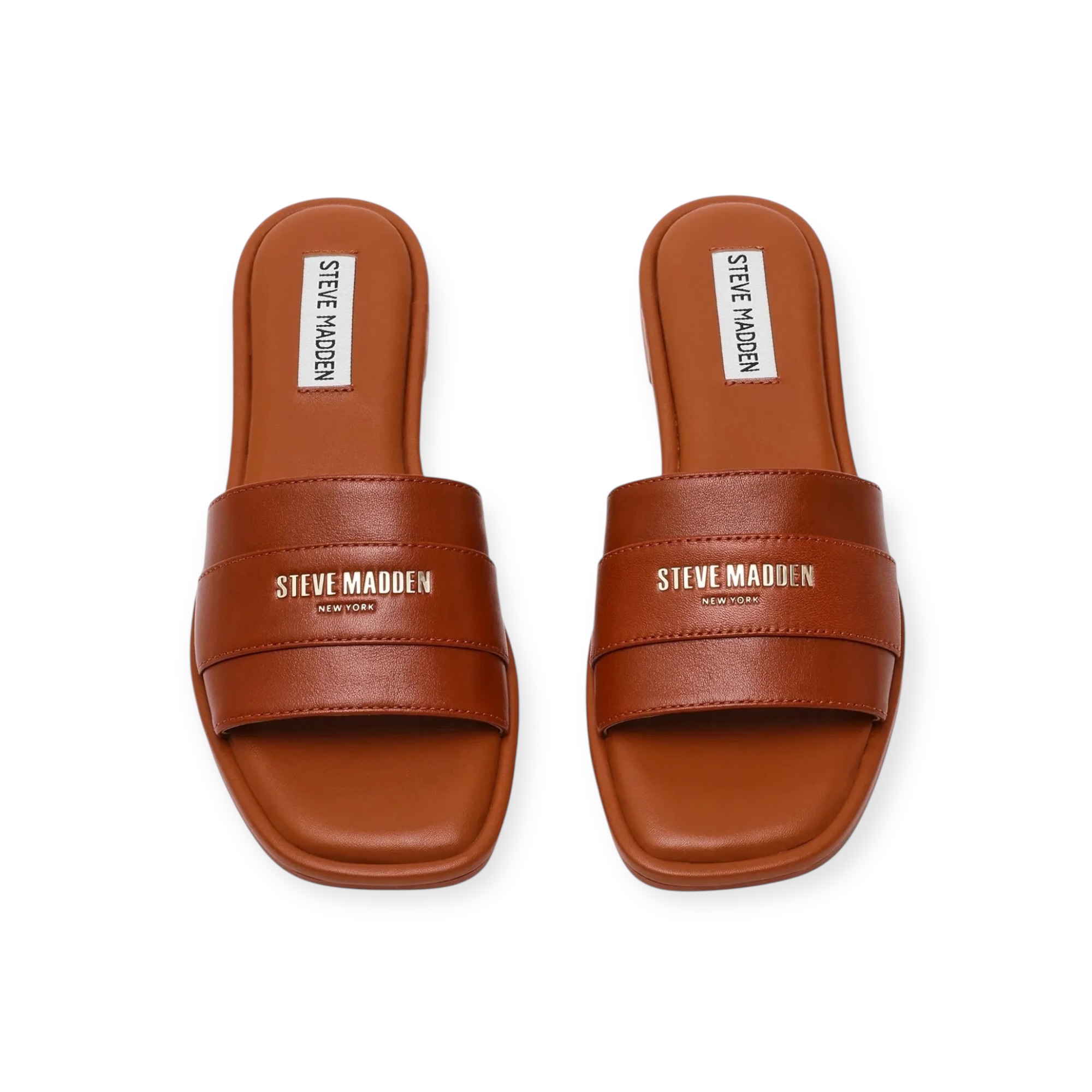 נעלי נשים STEVE MADDEN ASHTEN נעלי נשים STEVE MADDEN ASHTEN