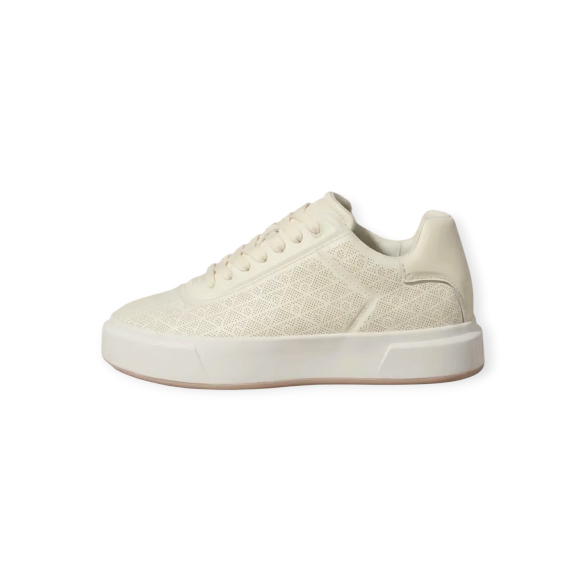 נעלי נשים CALVIN KLEIN BASKET AOP LTH
