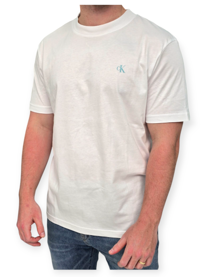 חולצה CALVIN KLEIN PAINTED TEE